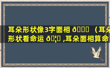 耳朵形状像3字面相 🐒 （耳朵形状看命运 🦊 ,耳朵面相算命）